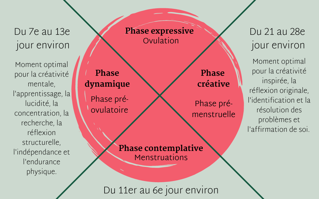 Les 4 phases du cycle féminin